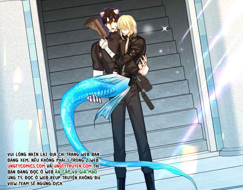 nhân ngư rơi xuống chapter 33 36