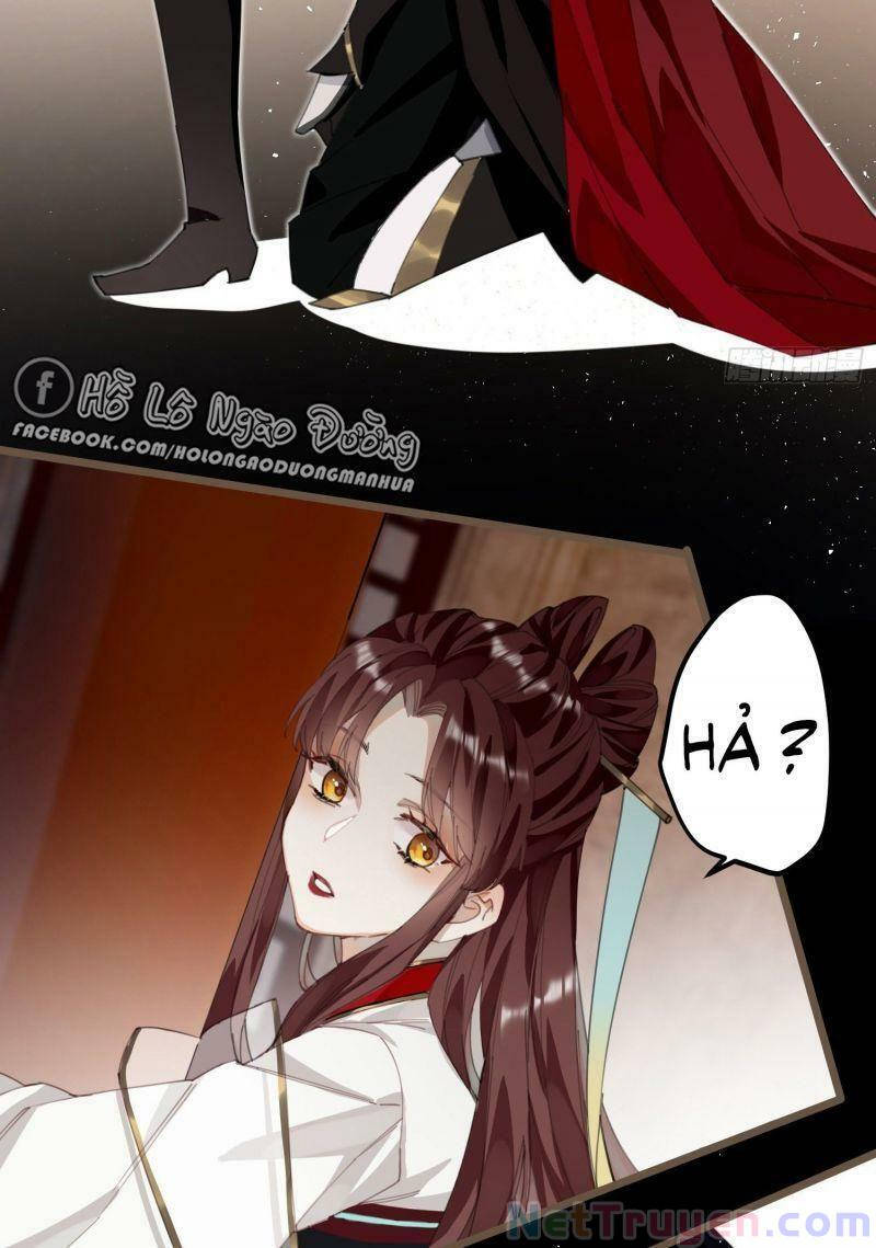 phế vật công chúa muốn nhặt chồng chapter 12 39