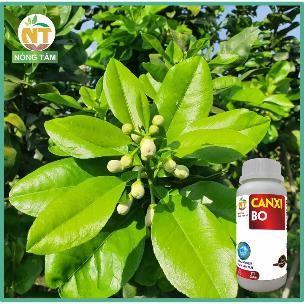 Phân bón lá siêu Canxi Bo chống rụng hoa, trái non chuyên dùng cho rau màu, cây ăn quả, chai 1000ml
