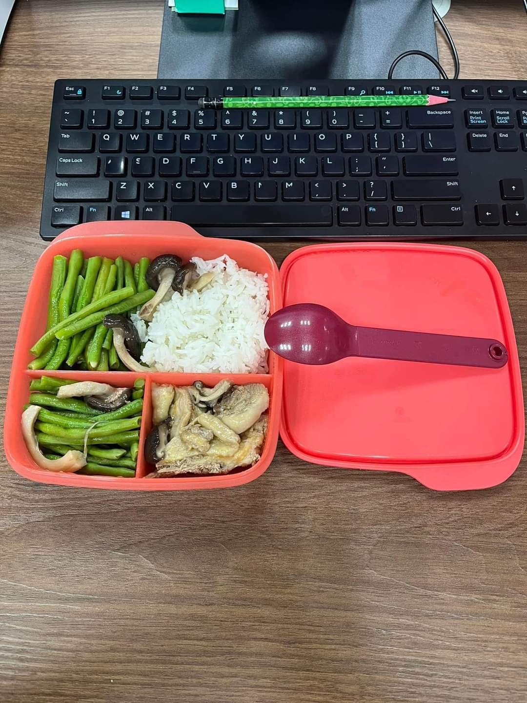 HỘP CƠM LOLLY TUP TUPPERWARE CHÍNH HÃNG