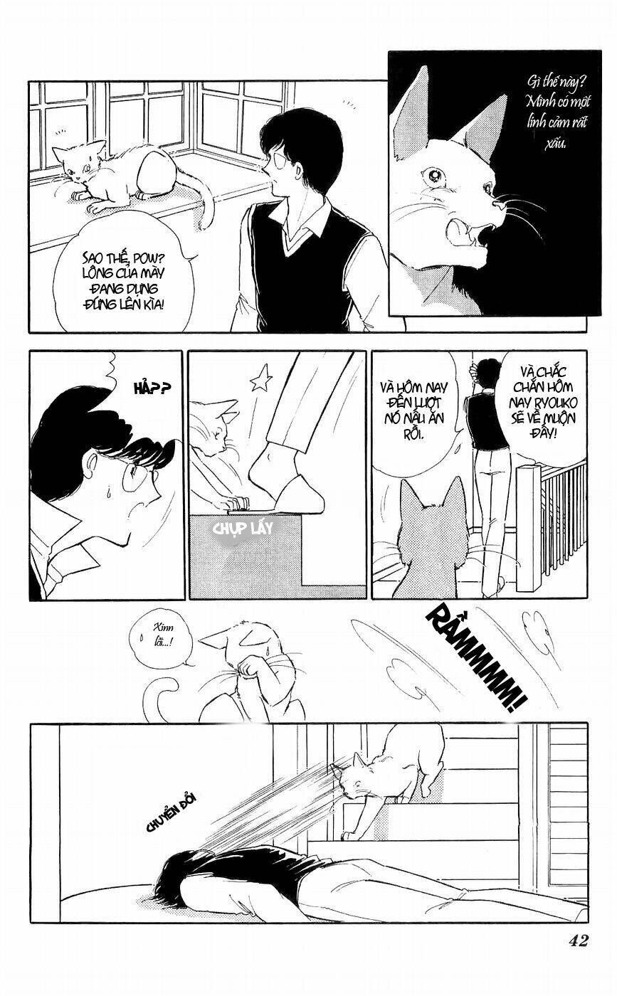 ryouko no shinrei jikenbo chapter 9 43