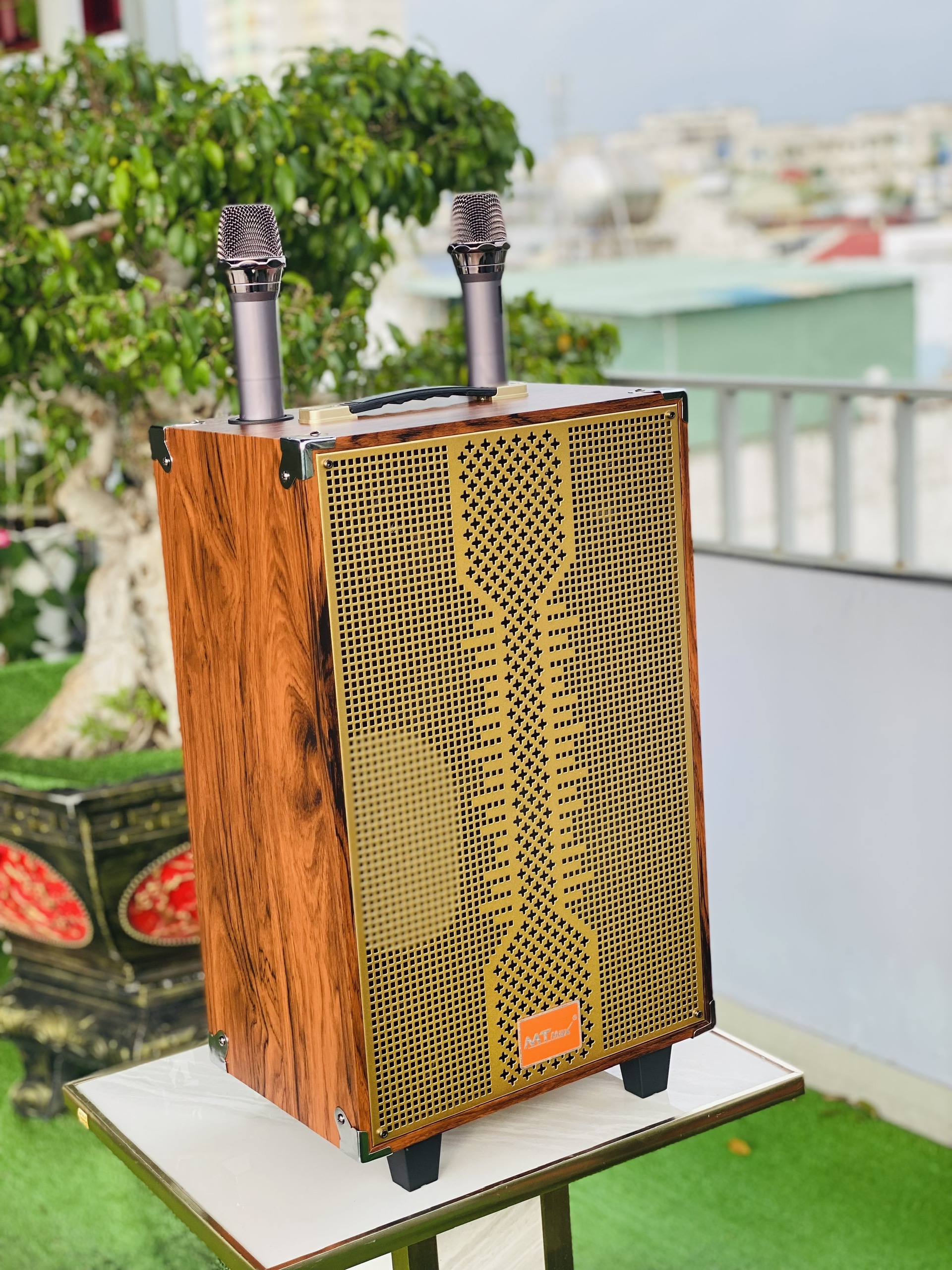 Loa Xách Tay Karaoke Nghe Nhạc T3 Pro Bass 30 – Công Suất 500W, Kết Nối Bluetooth, Kèm  Micro Không Dây Hàng Nhập Khẩu