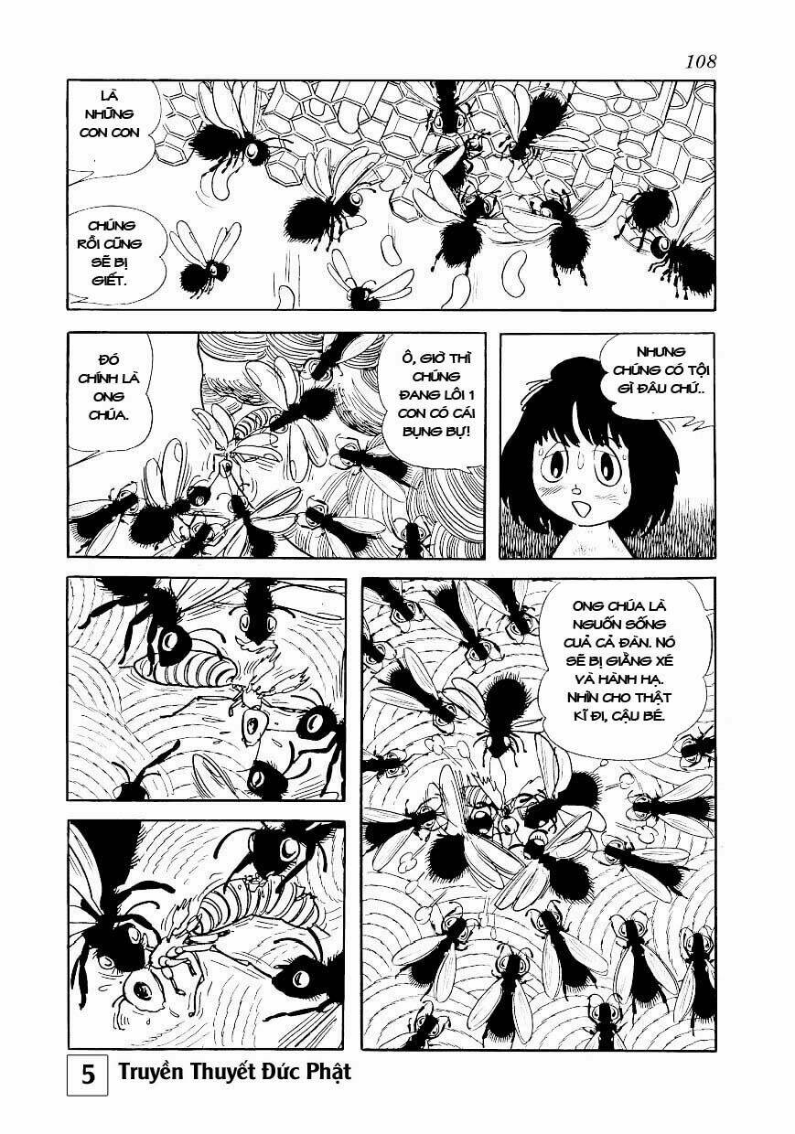 buddha - truyền thuyết đức phật chapter 24 62