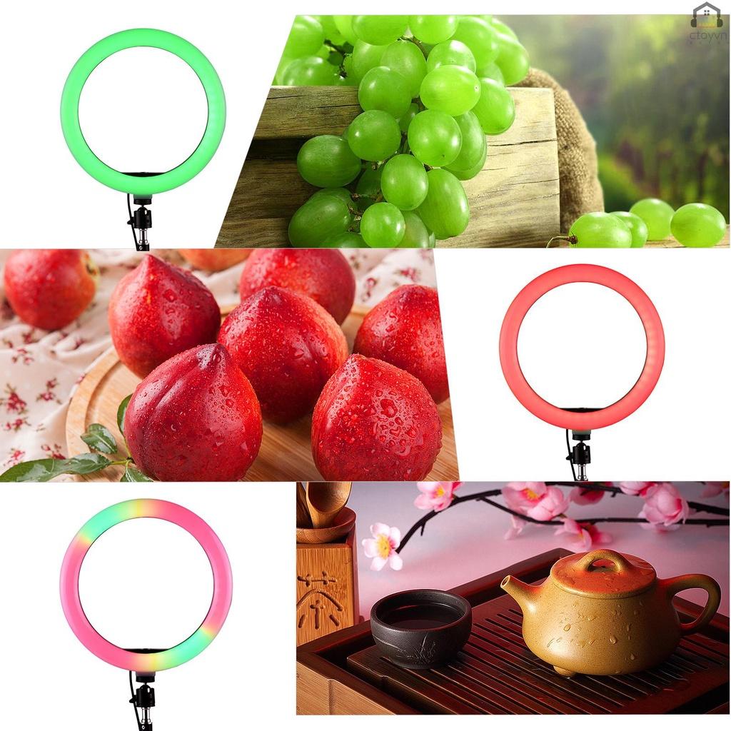 Vòng đèn LED RGB màu sắc 10 inch 3000-6000K điều khiển từ xa kèm giá đỡ điện thoại chuyên dụng cho chụp ảnh live stream