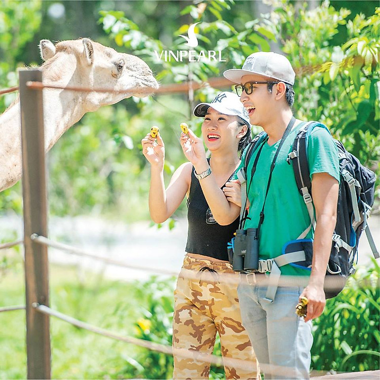 Hình ảnh Vé Vinpearl Safari Phú Quốc - Vườn Thú Mở Đầu Tiên Tại Việt Nam, QR Code Không Cần Xếp Hàng Mua Vé
