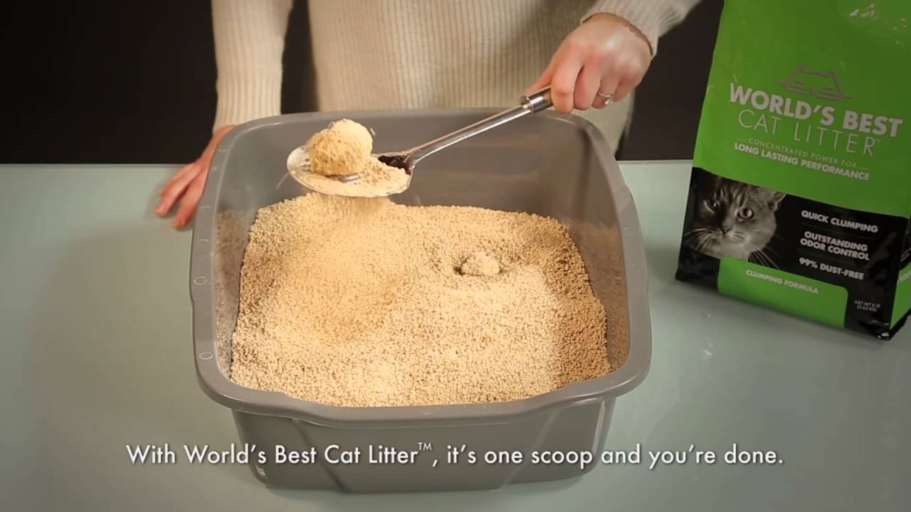 Cát mèo hữu cơ World’s Best Cat Litter Lavender Scented Multiple Cat Clumping 3,18Kg