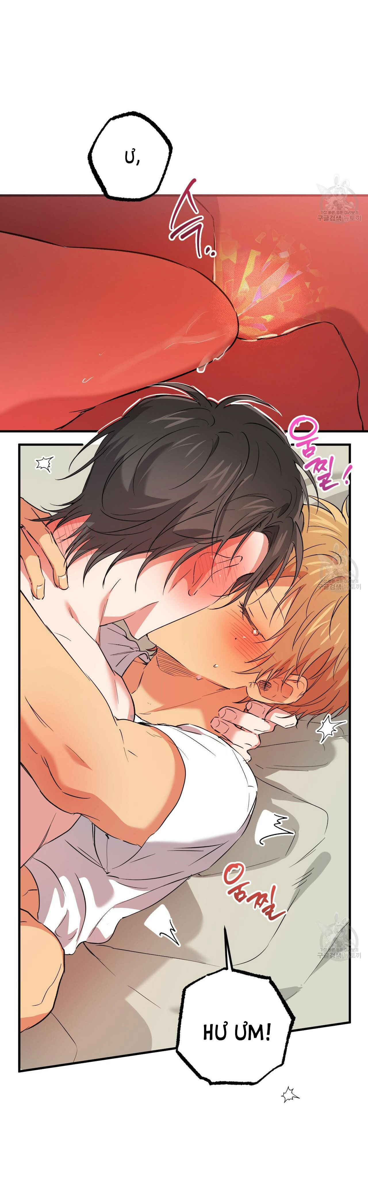 những chú thỏ của hapypy chapter 54.1 6