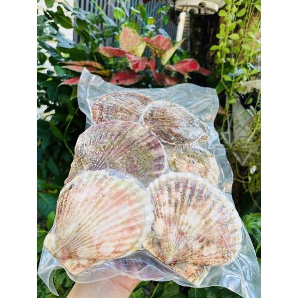 Sò điệp Nhật lớn nguyên con nướng phô mai mỡ hành - 1kg