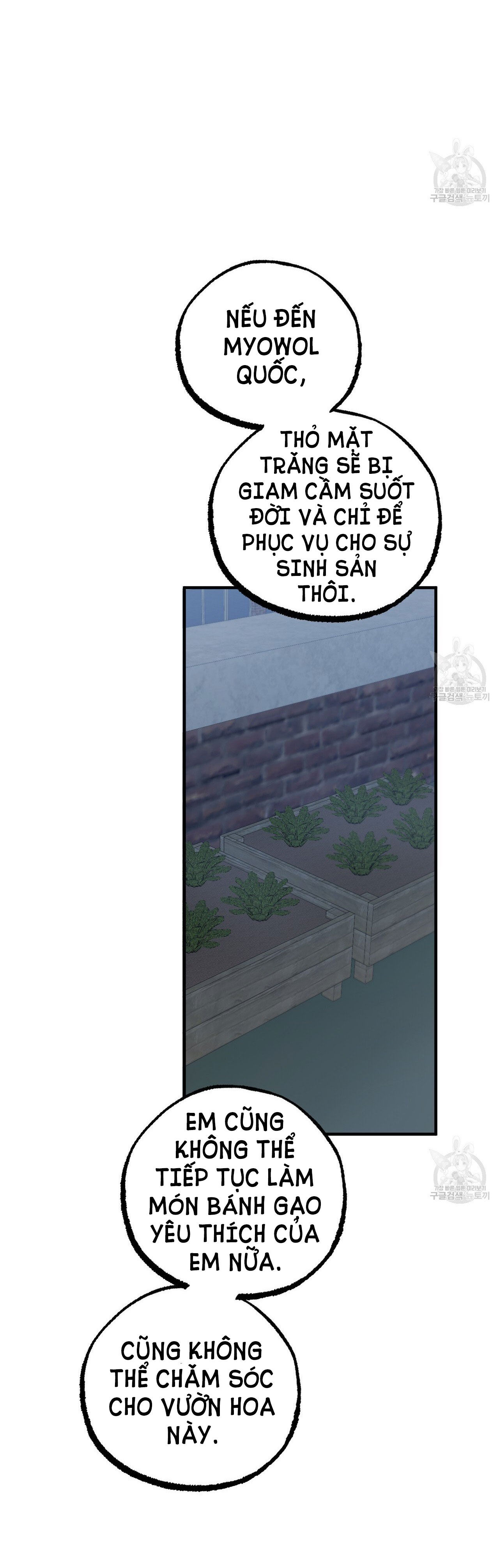 những chú thỏ của hapypy chapter 61.2 1