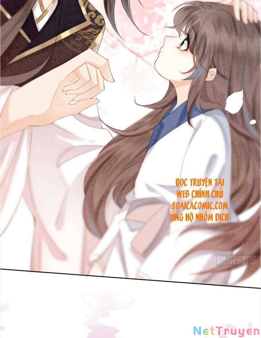 bắt đầu hủy hôn để công lược vương gia chapter 33 65