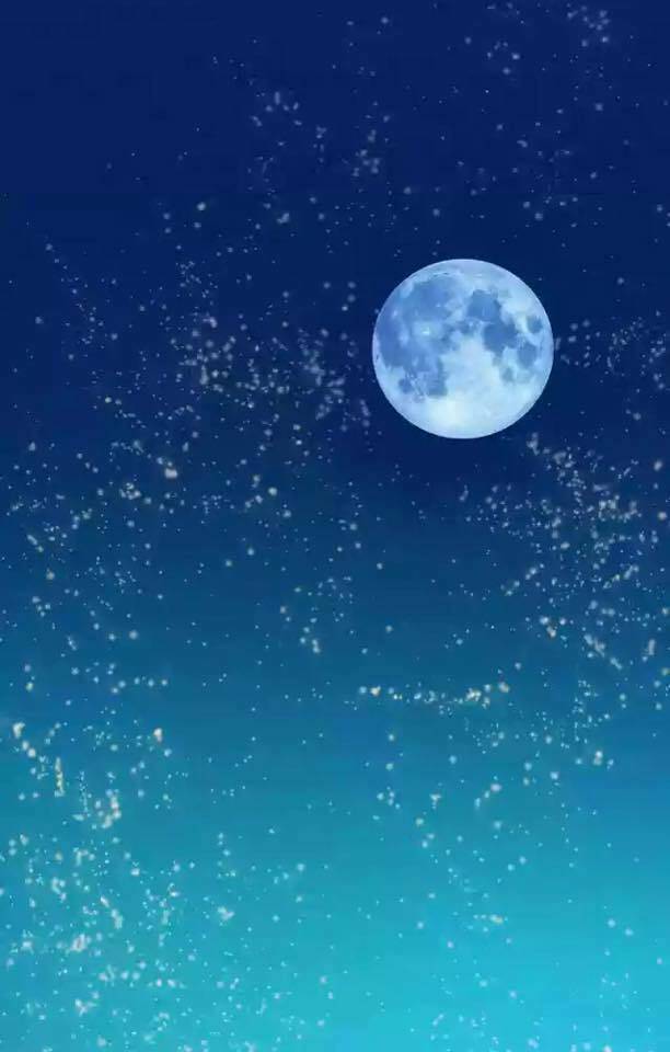 tôi không phải đa nhân cách chapter 22 4