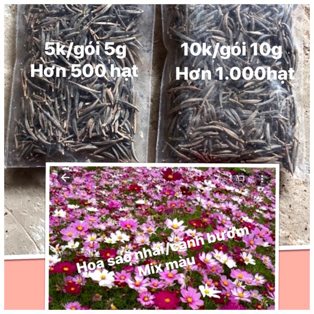 100g Hạt giống hoa cánh bướm, sao nháy, hoa bươm bướm hạt trắc mẩy, nảy mầm tốt, dễ trồng