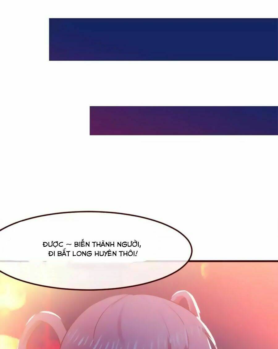 thỏ yêu tiểu vương phi chapter 1 18