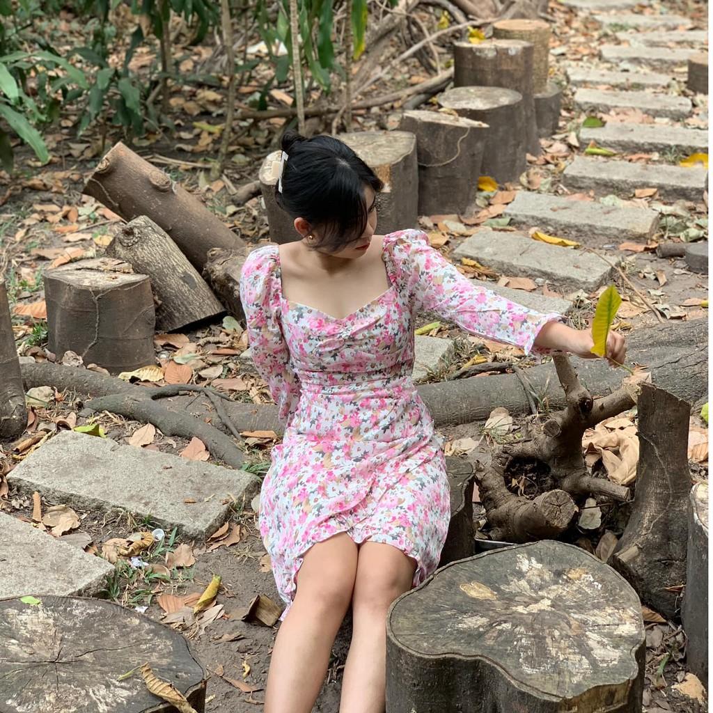 ĐẦM HOA NHÍ VẠT CHÉO