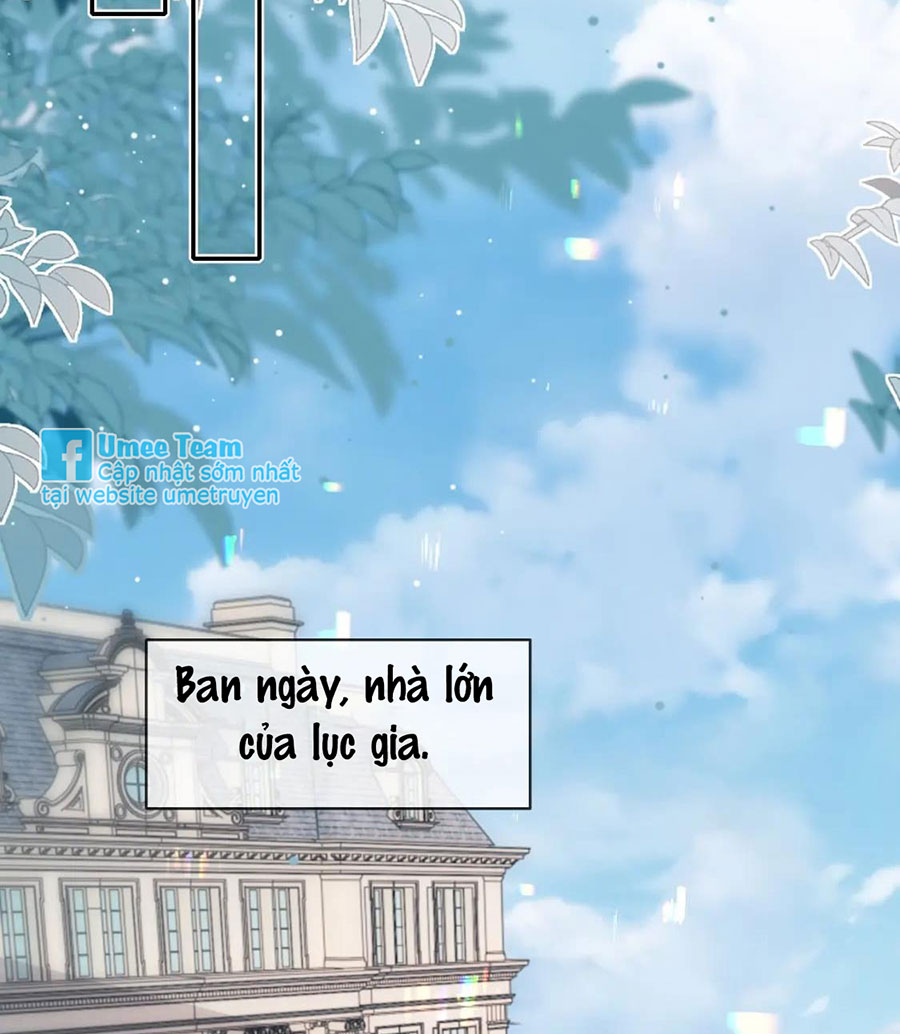 xin hãy ly hôn chapter 99 41