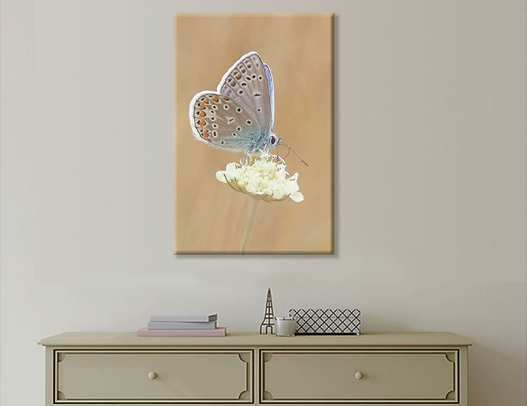 Tranh Canvas "Bướm Và Hoa" - W141