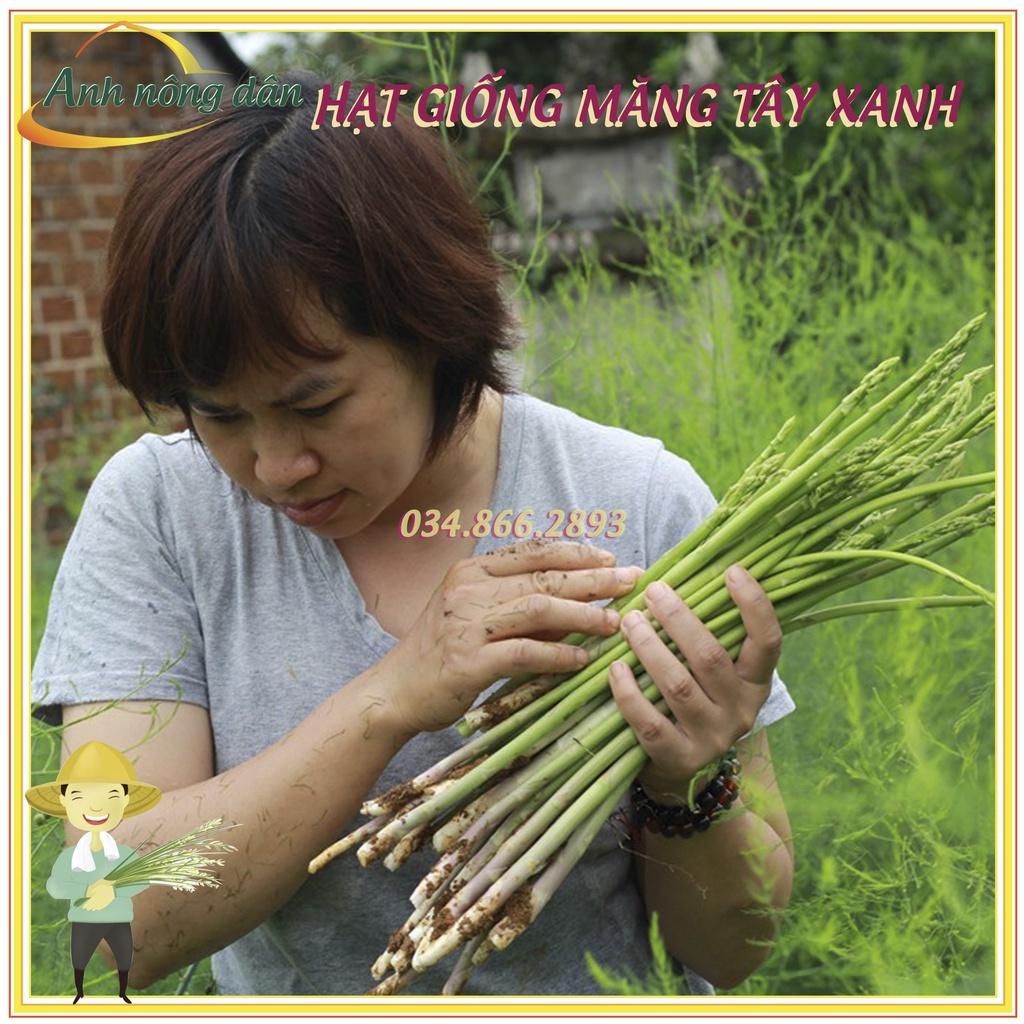Gói 1g Hạt giống cây măng tây xanh F1 cao sản, dễ trồng, thu hoạch quanh năm