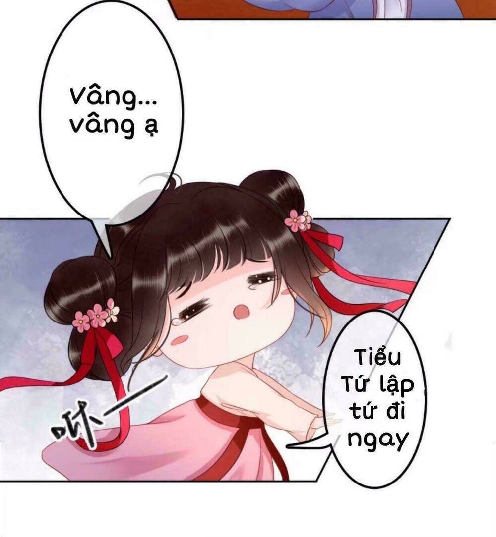 sủng phi của vương chapter 37 5