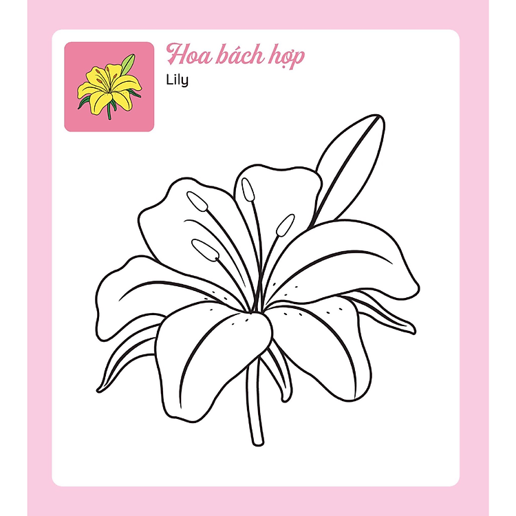 Sách Tớ Tự Tô: Những Bông Hoa Xinh