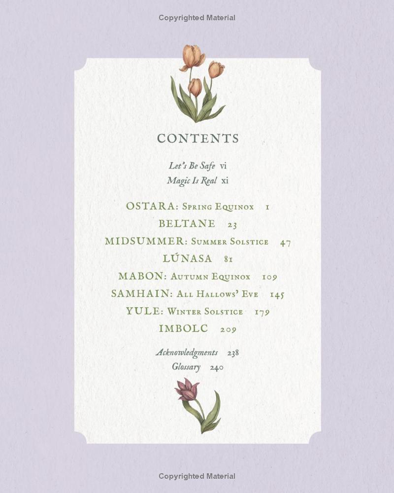 Sách ngoại văn: The Wheel Of The Year - An Illustrated Guide To Nature's Rhythms