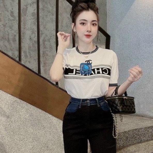 Áo len nữ Montoghi dệt kim Quảng Châu cổ tròn IN CHỮ NGANG logo phối viền sang trọng