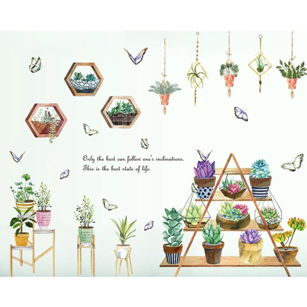 Decal dán tường trang trí chi tiết Kệ Hoa Sen Đá và nhiều chậu cây