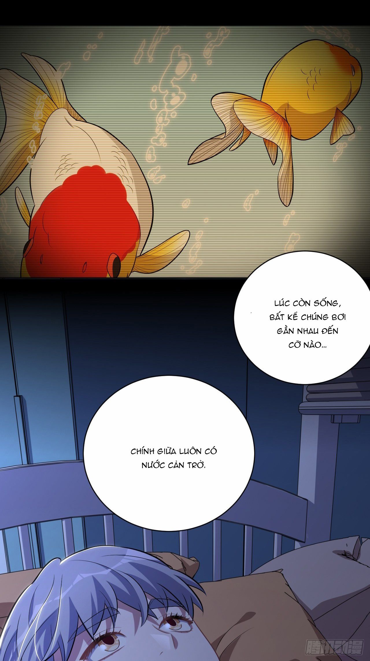 bố vợ đại nhân là bà xã chapter 221 29