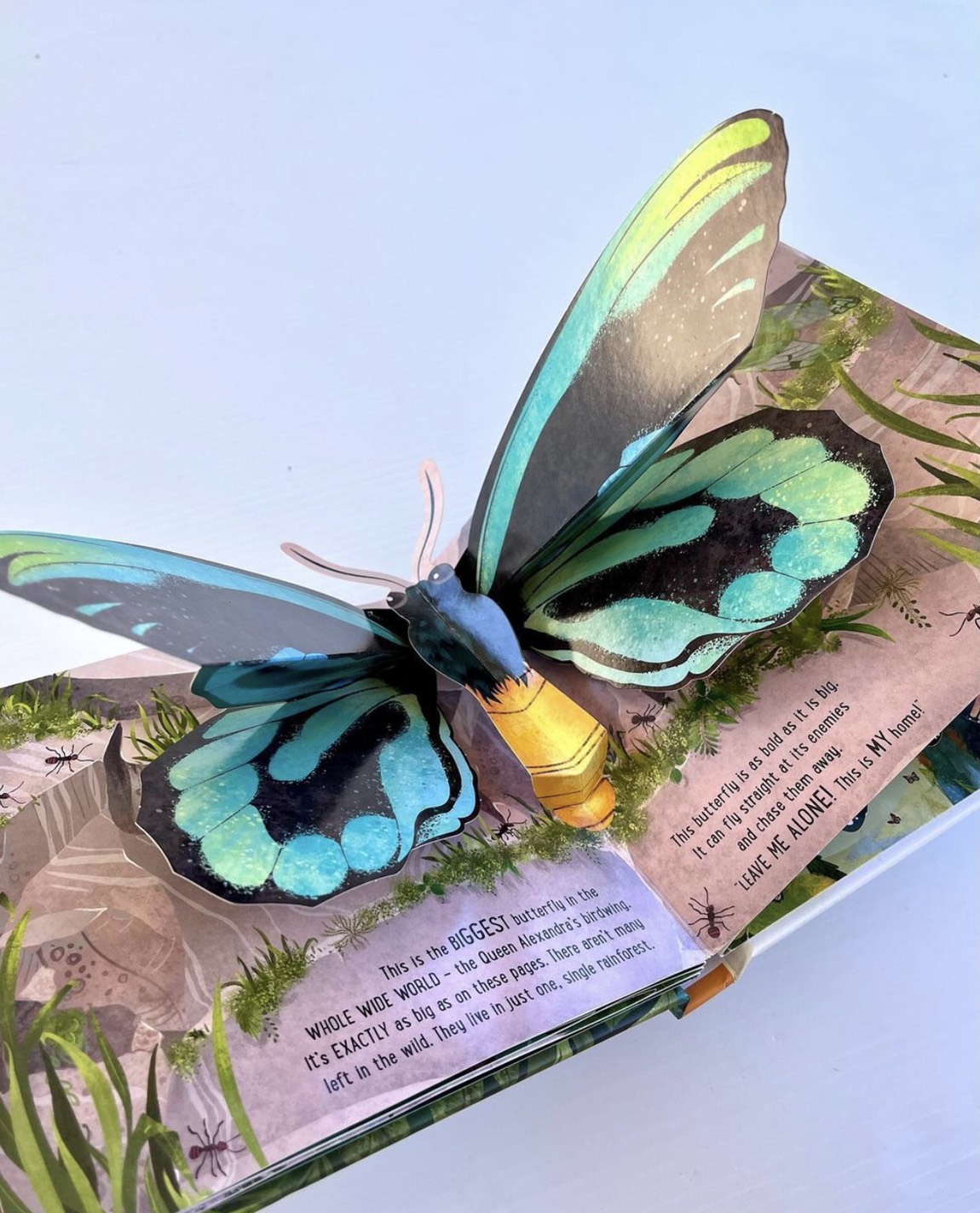 SÁCH POP-UP 3D BUTTERFLIES CHO BÉ