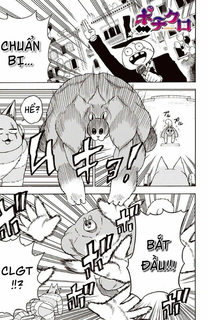 pochi kuro chapter 24 3