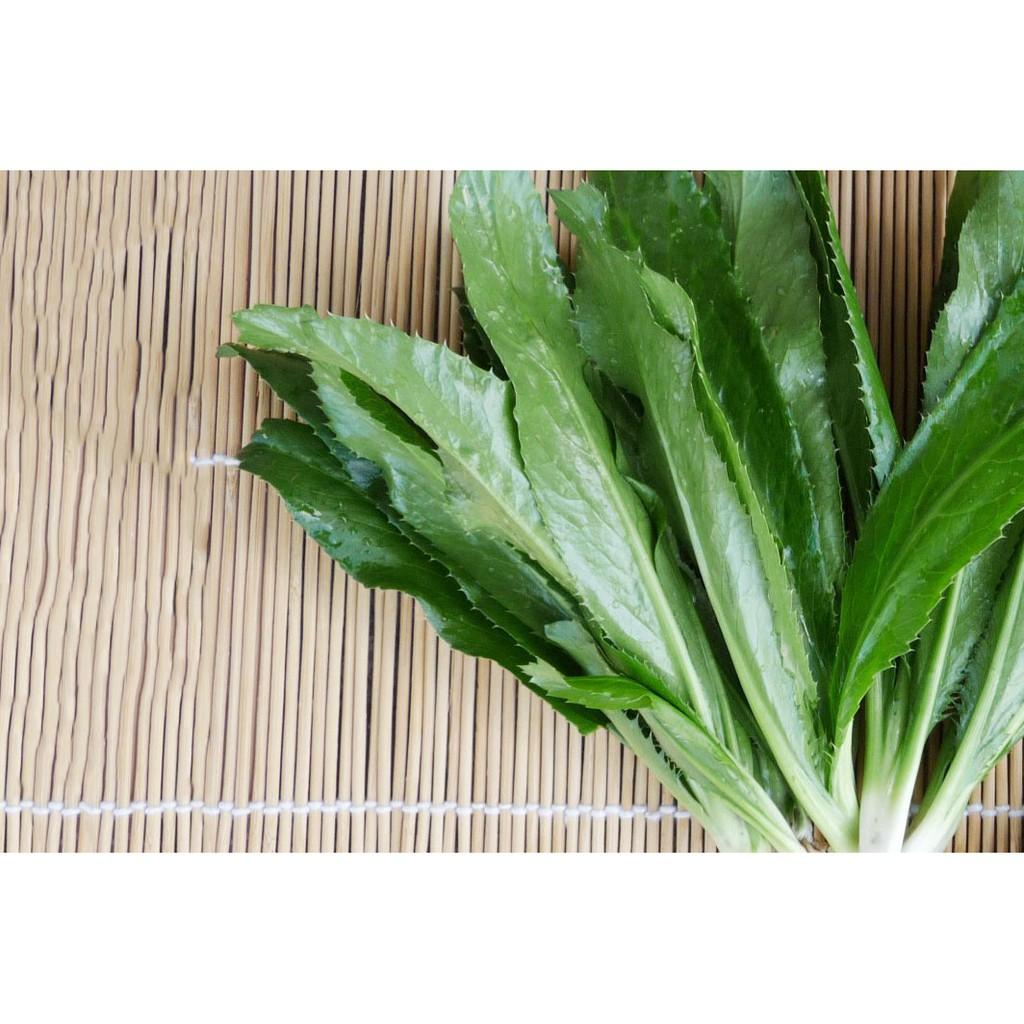 Gói 1g hạt giống ngò gai