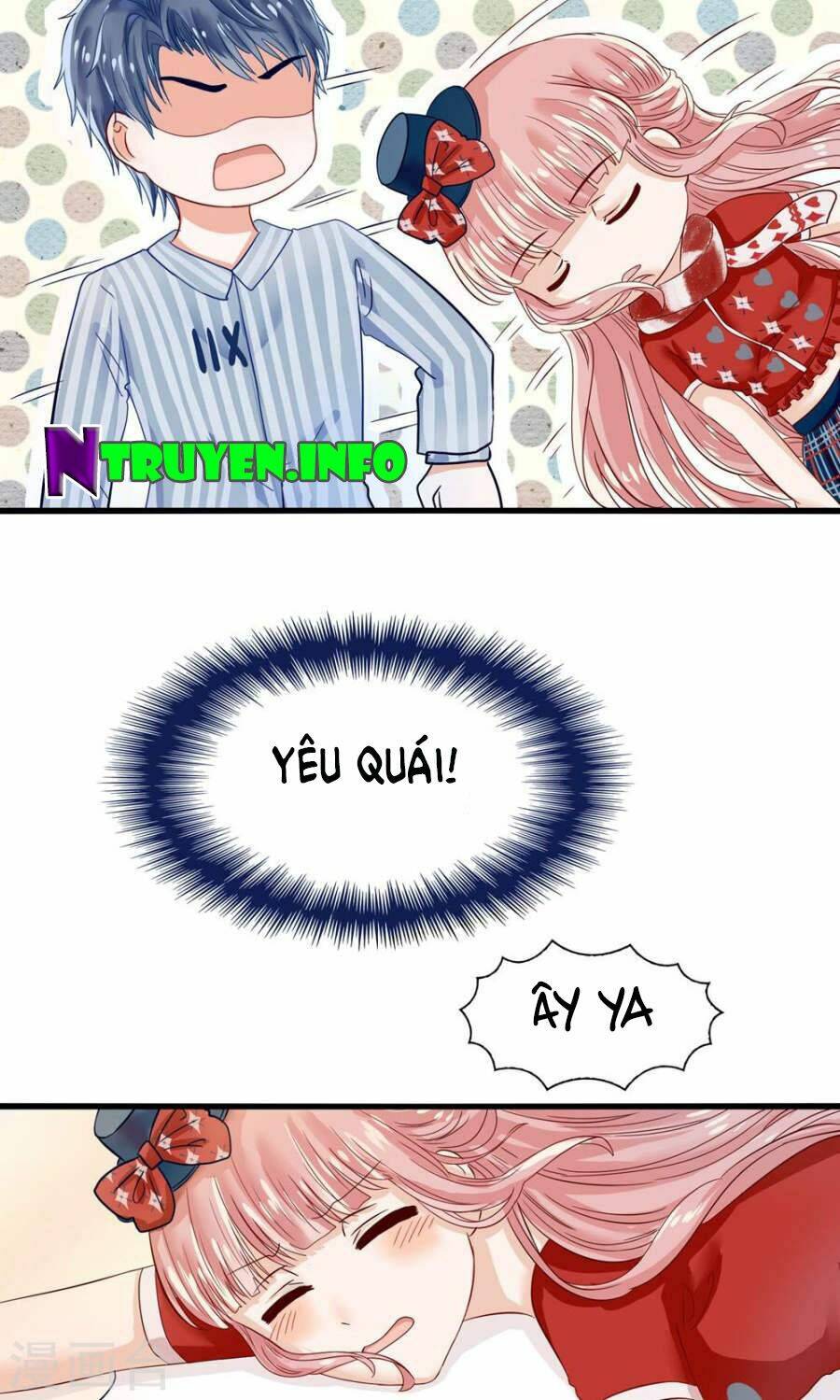 tôi bị gấu trúc nhìn trúng rồi chapter 6 8