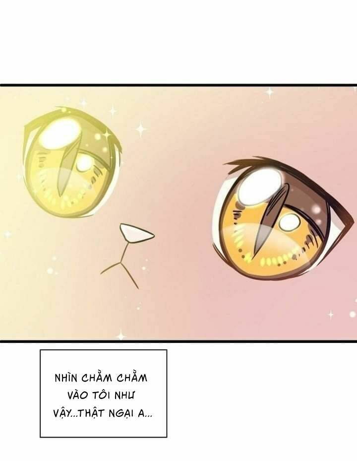 một cuộc sống kỳ lạ chapter 2 50