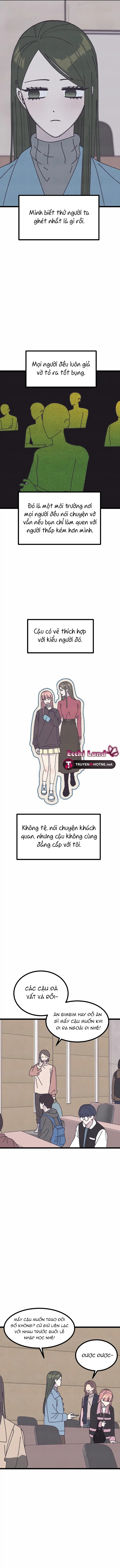 quy luật màu hồng tồi tệ chapter 12.2 10