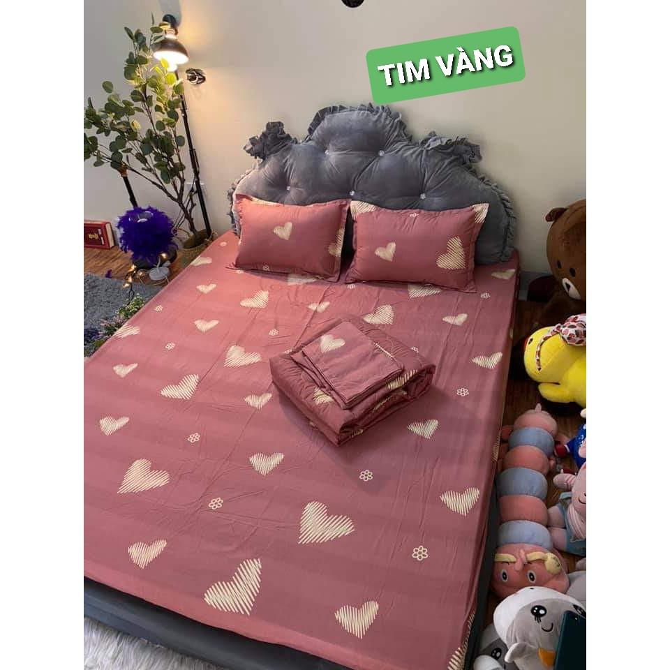 Set Bộ Chăn Ga Gối Cotton 100 % Họa Tiết Đẹp