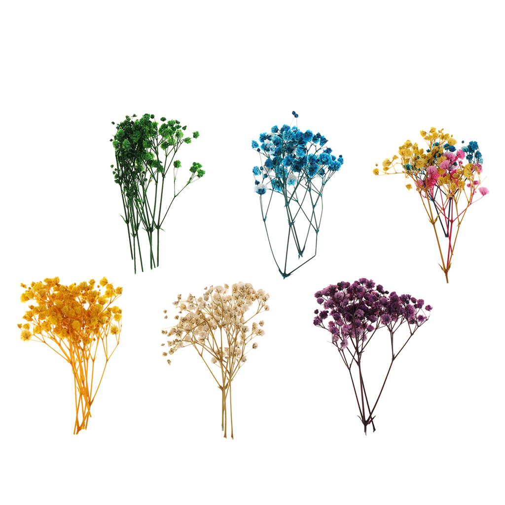 Túi Hoa Ép Khô Dùng Trang Trí Thủ Công Đa Năng