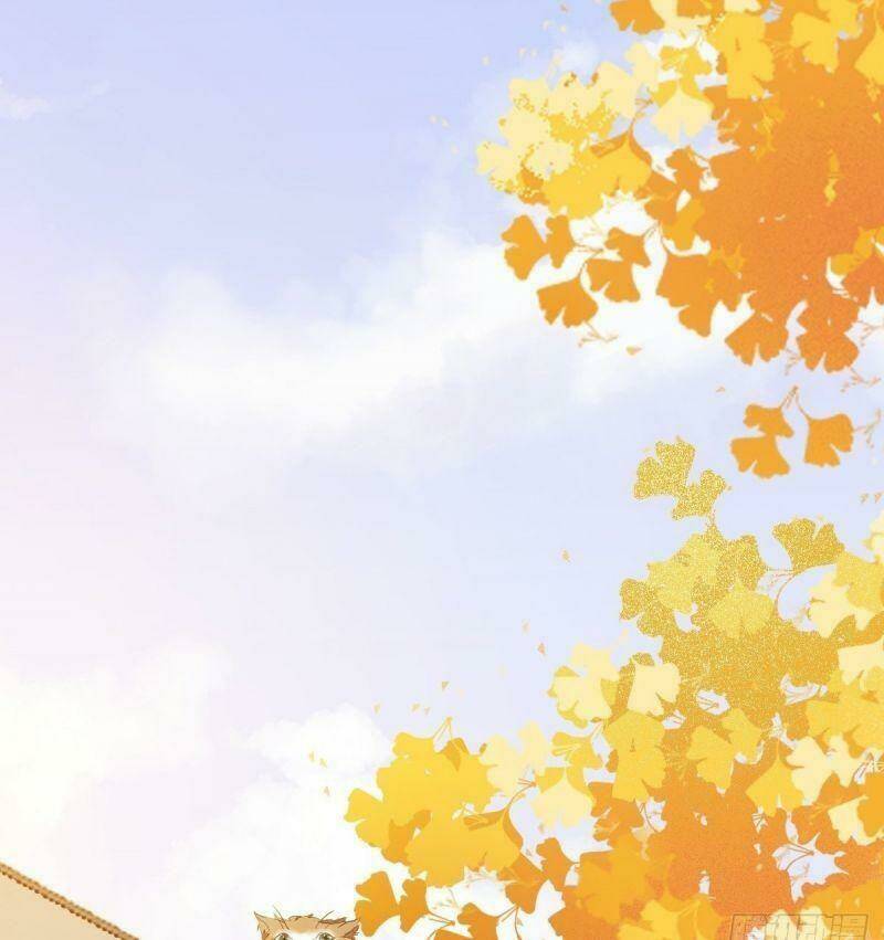 sát thủ vương phi không dễ chọc chapter 32 19