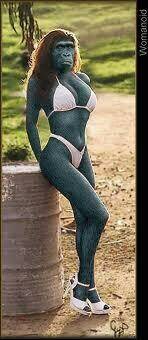 hình ảnh hài hước new chapter 3 20