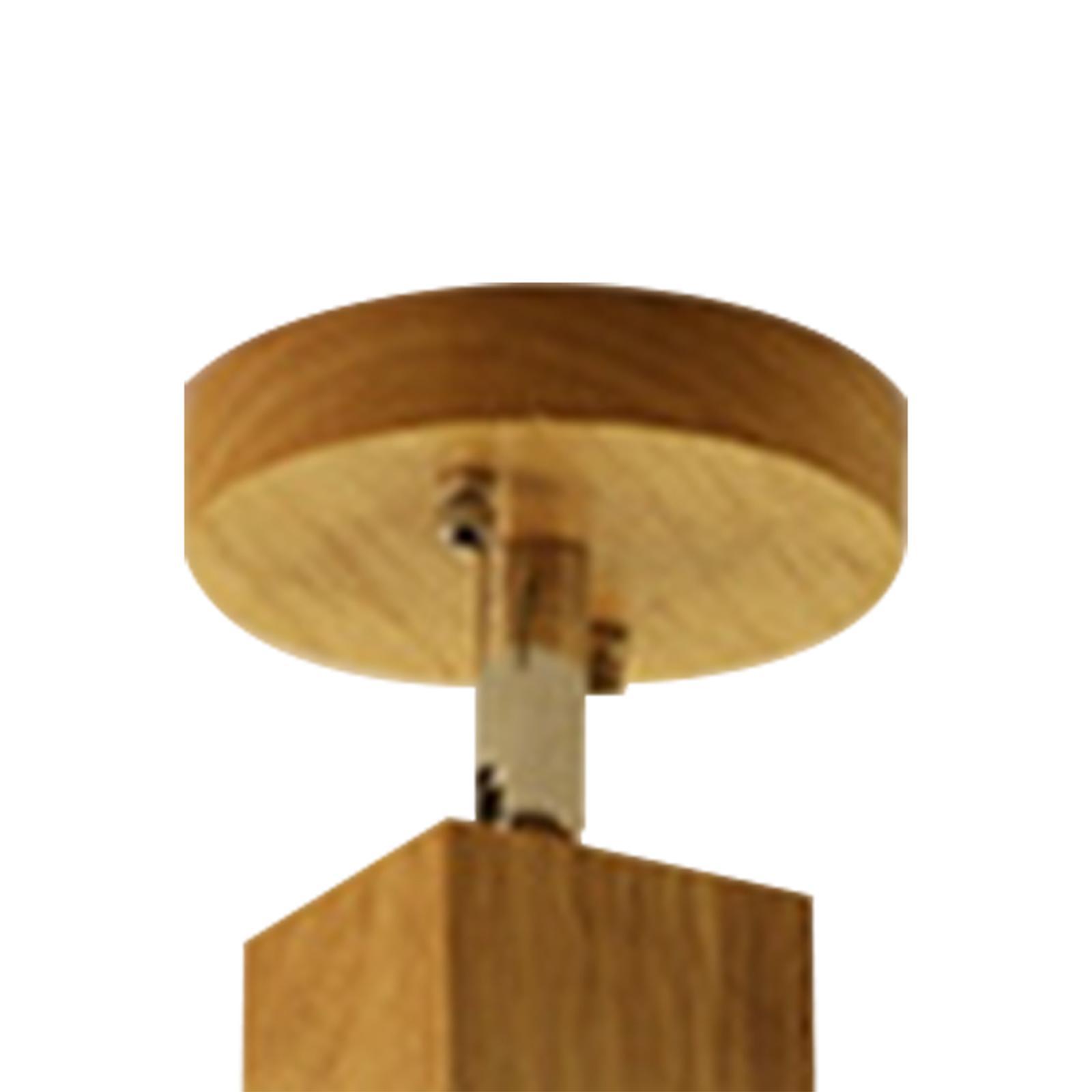 LED Ceiling Light Fixtures Chandelier Pendant Light for Home Farmhouse