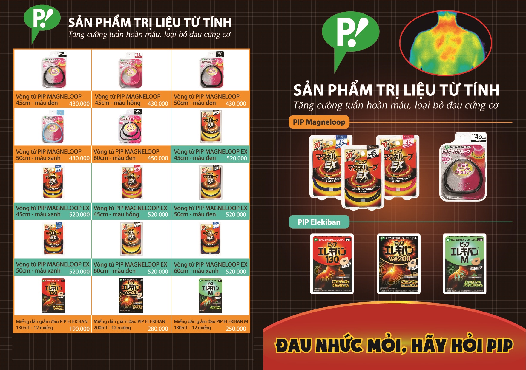 Vòng Từ Pip Magneloop Ex – 60cm