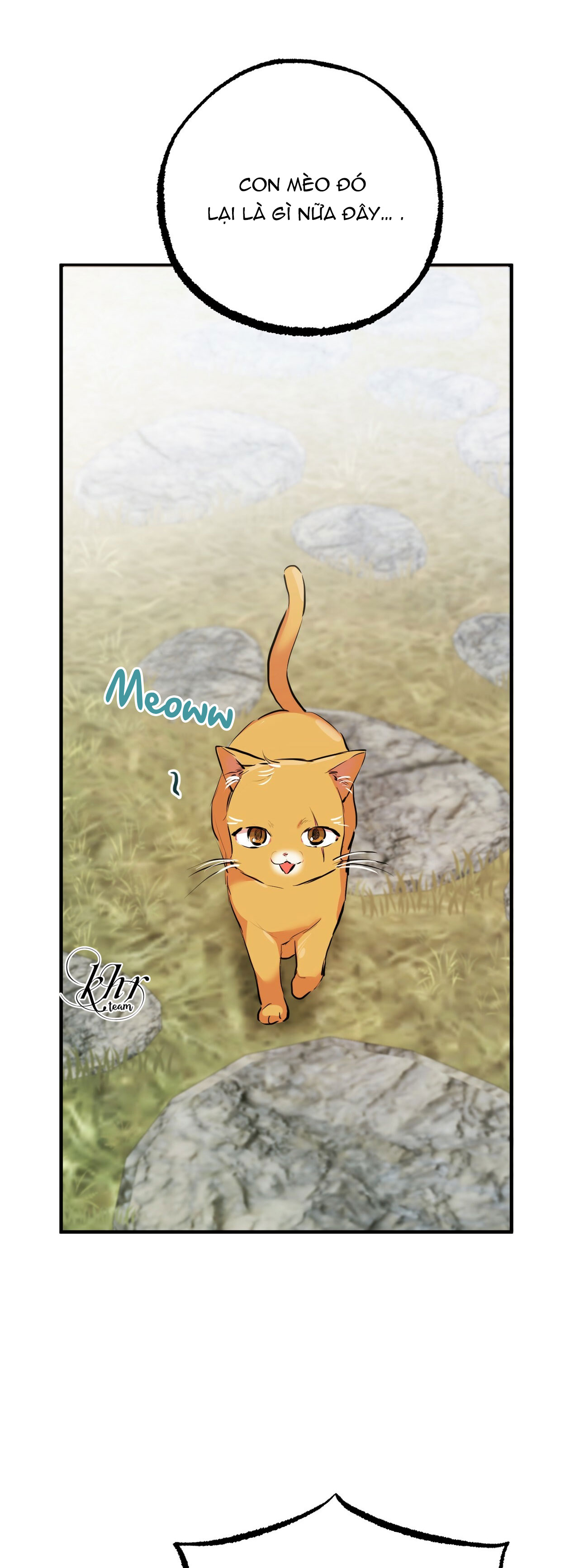 những chú thỏ của hapypy chapter 30 47