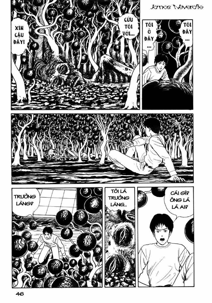 tuyển tập truyện ngắn kinh dị của ito junji chapter 8.1 45