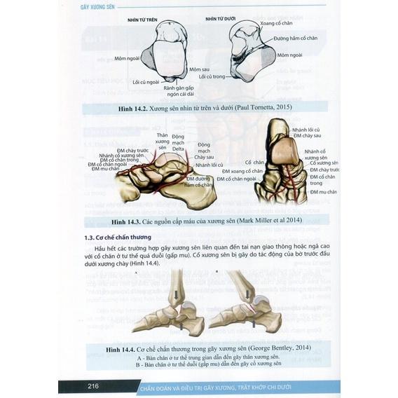 Sách - Chẩn đoán và đ.trị gãy xương trật khớp chi dưới