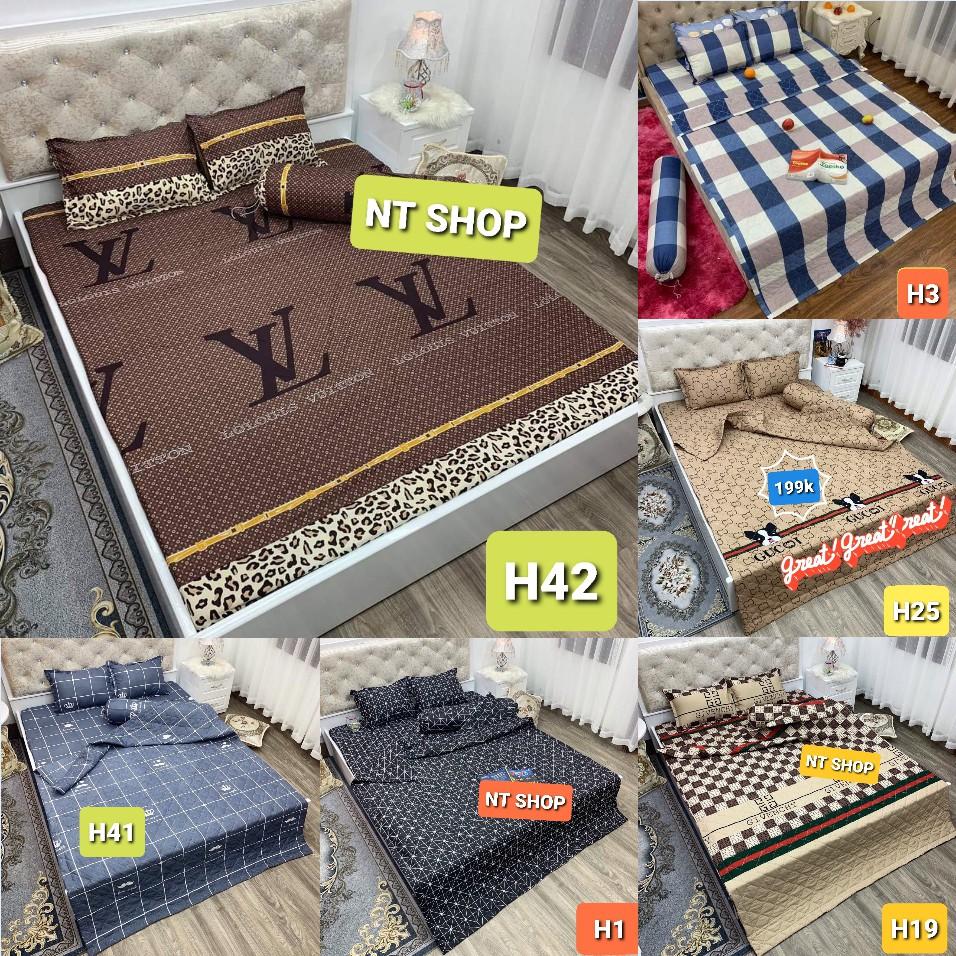 Set 5 Món ga chun 2 vỏ gối đầu ,chăn hè cotton mẫu khủng long bơ