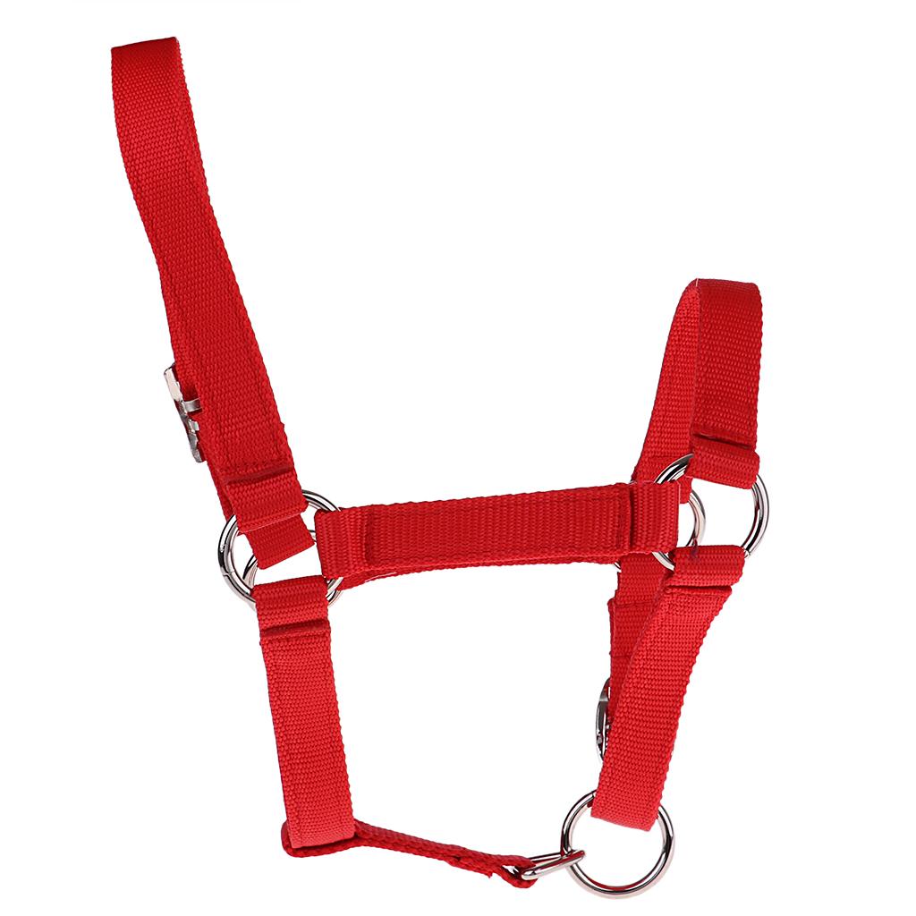 Adjustable Nylon Webbing Equestrian Western Horse Halter Horse Riding Wear Red S