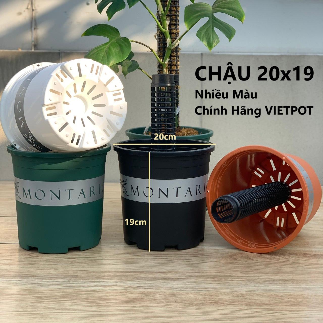 Trụ Nhựa VIETPOT, mã 22, Gắn Chậu Trồng Kiểng Lá Leo Trụ, Gắn Vừa Với Khớp Nối Của Các Chậu VIETPOT, trang trí sân vườn.