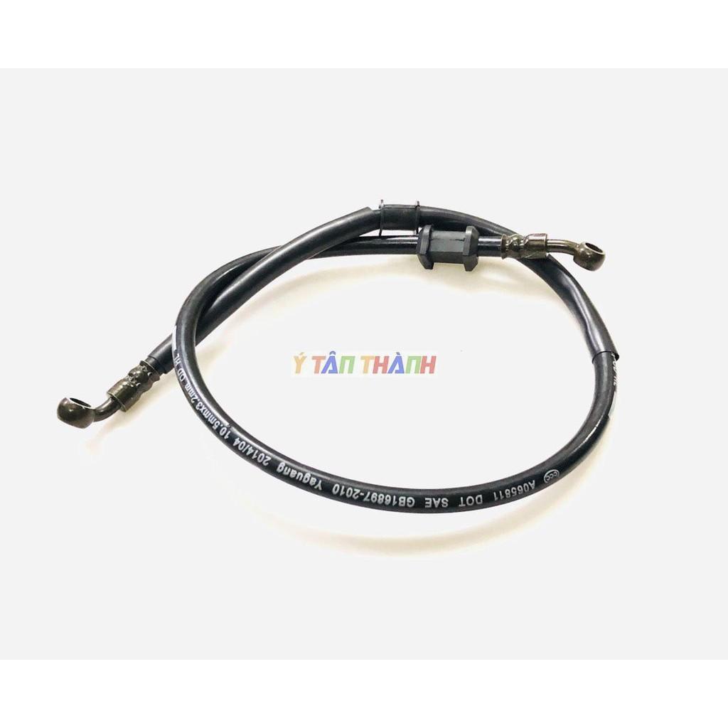 Dây dầu thắng trước