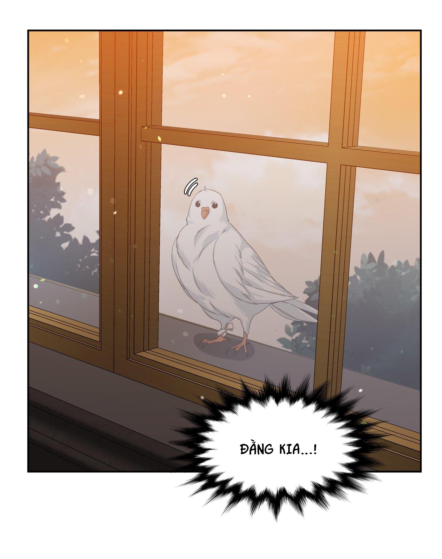 smyrna và capri chapter 20 32