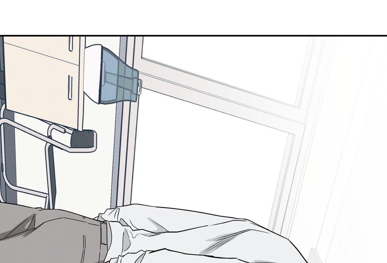 chàng giao pizza và gold palace chapter 48 202