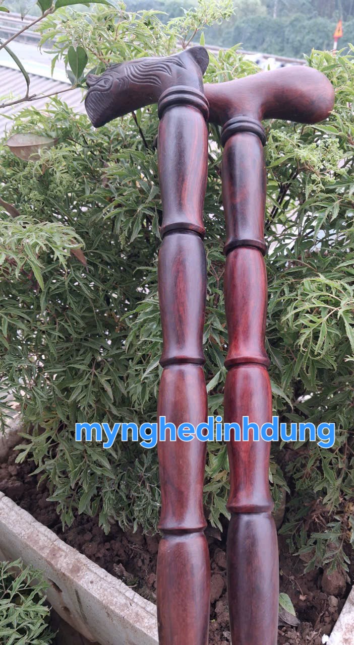 Gậy chống gỗ trắc đỏ đen