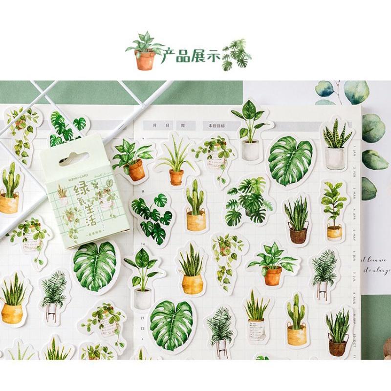 Hộp 46 sticker hình lá